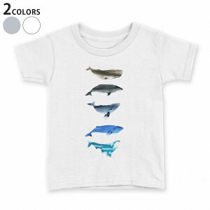 tVc LbY  n fUC 90 100 110 120 130 140 150 TVc eB[Vc T shirt 015831 @C@@V`