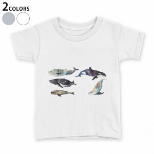 tVc LbY  n fUC 90 100 110 120 130 140 150 TVc eB[Vc T shirt 015835 @C@@V`