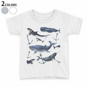 tVc LbY  n fUC 90 100 110 120 130 140 150 TVc eB[Vc T shirt 015837 @C@@V`