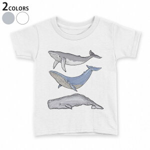 tVc LbY  n fUC 90 100 110 120 130 140 150 TVc eB[Vc T shirt 015851 @@C