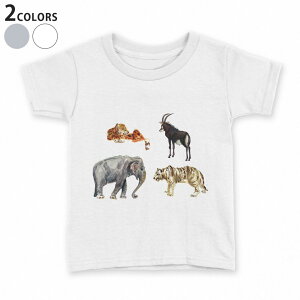 tVc LbY  n fUC 90 100 110 120 130 140 150 TVc eB[Vc T shirt 015881 @animal@Aj}