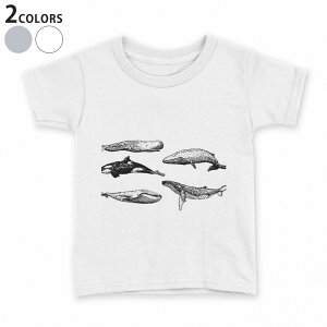 tVc LbY  n fUC 90 100 110 120 130 140 150 TVc eB[Vc T shirt 016054 @V`@