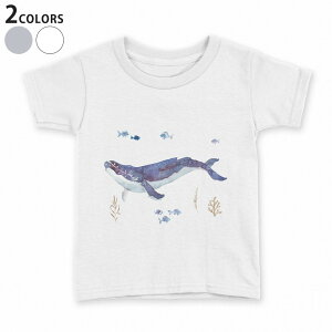 tVc LbY  n fUC 90 100 110 120 130 140 150 160 TVc eB[Vc T shirt 017806 C̒@ @C̒@