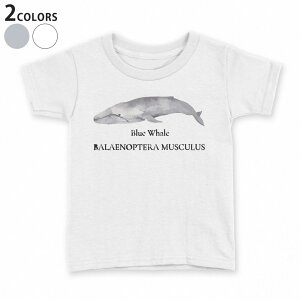 t�V���c �L�b�Y ���� ���n �f�U�C�� 90 100 110 120 130 140 150 T�V���c �e�B�[�V���c T shirt 019741 �C�̐��� �V���i�K�X�N�W�� blue whale