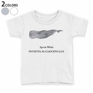 tVc LbY  n fUC 90 100 110 120 130 140 150 TVc eB[Vc T shirt 019742 C̐ }bRENW sperm whale