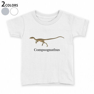 t�V���c �L�b�Y ���� ���n �f�U�C�� 90 100 110 120 130 140 150 T�V���c �e�B�[�V���c T shirt 019776 ���� Compsognathus �R���v�\�O�i�g�D�X