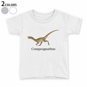 t�V���c �L�b�Y ���� ���n �f�U�C�� 90 100 110 120 130 140 150 T�V���c �e�B�[�V���c T shirt 019779 ���� Compsognathus �R���v�\�O�i�g�D�X