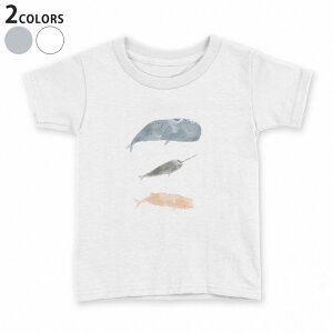 tVc LbY  n fUC 90 100 110 120 130 140 150 TVc eB[Vc T shirt 019914  CbJN 邩