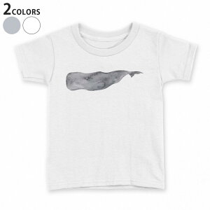 tVc LbY  n fUC 90 100 110 120 130 140 150 TVc eB[Vc T shirt 019926 C̐  킢