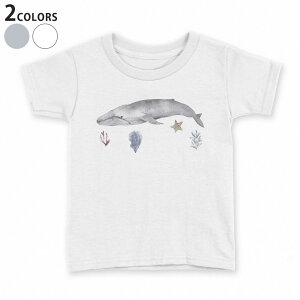 tVc LbY  n fUC 90 100 110 120 130 140 150 TVc eB[Vc T shirt 019930 C̐ 