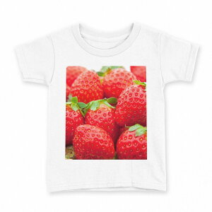 tVc LbY  n fUC 140 TCY TVc eB[Vc T shirt 000149 䕁@@ԁ@ʕ