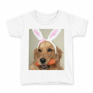 tVc LbY  n fUC 100 TCY TVc eB[Vc T shirt 001111 @S[f@