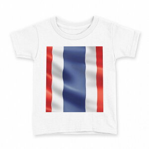 tVc LbY  n fUC 120 TCY TVc eB[Vc T shirt 001195 ^C@