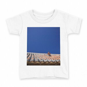 tVc LbY  n fUC 100 TCY TVc eB[Vc T shirt 002774 @V[T[@ʐ^
