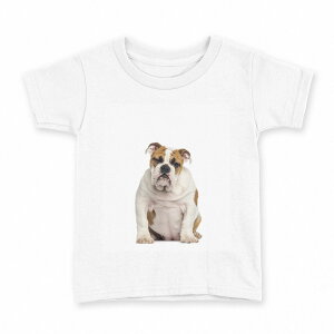 tVc LbY  n fUC 160 TCY TVc eB[Vc T shirt 002883 @@ʐ^