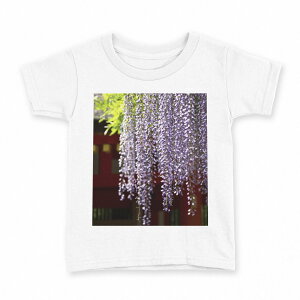 tVc LbY  n fUC 140 TCY TVc eB[Vc T shirt 003257 ԁ@ʐ^@iF@i