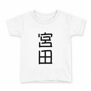 tVc LbY  n fUC 120 TCY TVc eB[Vc T shirt 021177 c O {c