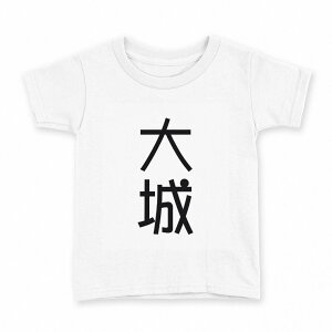 tVc LbY  n fUC 100 TCY TVc eB[Vc T shirt 021324 c O 