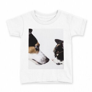 tVc LbY  n fUC 150 TCY TVc eB[Vc T shirt 022703  L