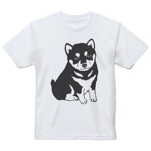 tVc LbY  n fUC 140 TCY TVc eB[Vc T shirt 026241 @@Č