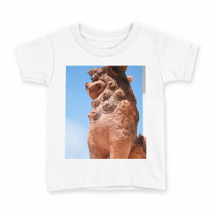 tVc LbY  n fUC 130 TCY TVc eB[Vc T shirt 004542 V[T[@@ʐ^