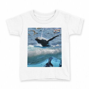 tVc LbY  n fUC 160 TCY TVc eB[Vc T shirt 004897 C@~@ʐ^