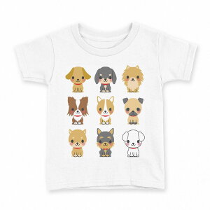 tVc LbY  n fUC 100 TCY TVc eB[Vc T shirt 007882 @ʁ@CXg@Č@v[h