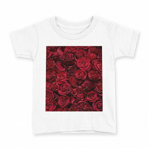 t�V���c �L�b�Y ���� ���n �f�U�C�� 130 �T�C�Y T�V���c �e�B�[�V���c T shirt 008204 �ԁ@�@�ʐ^�@�K�N�@�ԁ@���b�h
