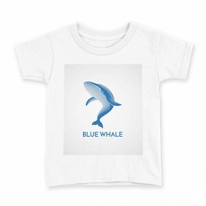 tVc LbY  n fUC 90 TVc eB[Vc T shirt 010929 C@@