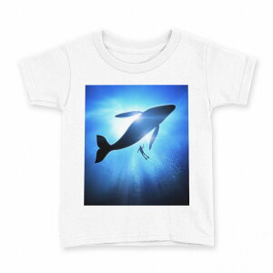 tVc LbY  n fUC 90 TVc eB[Vc T shirt 012663 NW@VGbg@_CrO