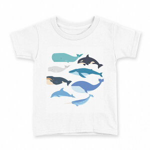 tVc LbY  n fUC 160 TCY TVc eB[Vc T shirt 015822 @@V`