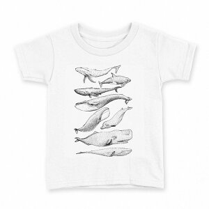 tVc LbY  n fUC 90 TVc eB[Vc T shirt 015827 @C@@V`