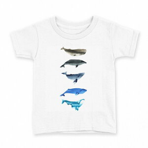 tVc LbY  n fUC 90 TVc eB[Vc T shirt 015831 @C@@V`