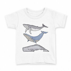 tVc LbY  n fUC 110 TCY TVc eB[Vc T shirt 015851 @@C