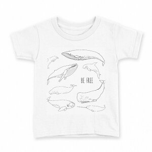 tVc LbY  n fUC 120 TCY TVc eB[Vc T shirt 015861 @C@