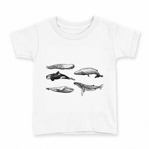 tVc LbY  n fUC 160 TCY TVc eB[Vc T shirt 016054 @V`@