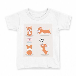 tVc LbY  n fUC 140 TCY TVc eB[Vc T shirt 016256 @TbJ[