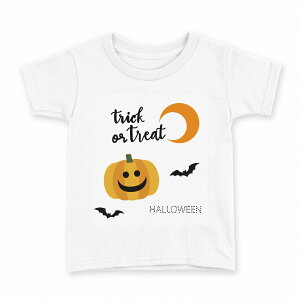 tVc LbY  n fUC 100 TCY TVc eB[Vc T shirt 017443 @ڂ@pvL