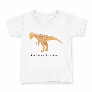 tVc LbY  n fUC 110 TCY TVc eB[Vc T shirt 017690 pLPt@TEX saurus 