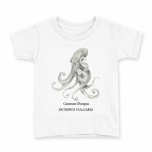 t�V���c �L�b�Y ���� ���n �f�U�C�� 160 �T�C�Y T�V���c �e�B�[�V���c T shirt 019730 �C�̐��� �^�R octopus