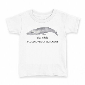 t�V���c �L�b�Y ���� ���n �f�U�C�� 90 T�V���c �e�B�[�V���c T shirt 019741 �C�̐��� �V���i�K�X�N�W�� blue whale