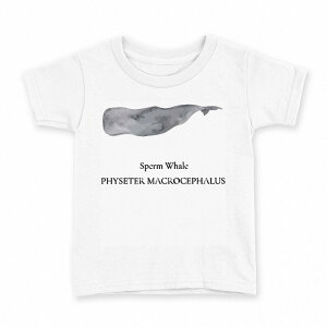 tVc LbY  n fUC 160 TCY TVc eB[Vc T shirt 019742 C̐ }bRENW sperm whale