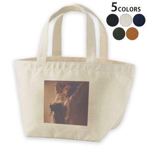 fUC`obO LoX fCpbN obO fB[XobO g[gobO i`  black 011541 @@ZNV[