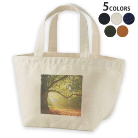 デザインランチバッグ キャンバス デイパック バッグ レディースバッグ トートバッグ ナチュラル 黒 black 014991 景色　自然　風景　写真　木　樹木