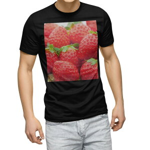 tシャツ メンズ 半袖 ブラック デザイン XS S M L XL 2XL Tシャツ ティーシャツ T shirt 黒 000149 写真・風景 苺 いちご 赤 果物