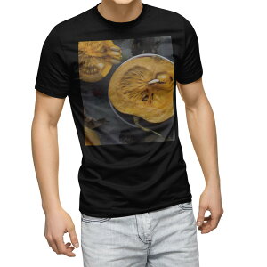 tVc Y  ubN fUC XS S M L XL 2XL TVc eB[Vc T shirt@ 022907 ڂ@Hו@ʐ^@pvL