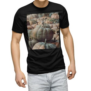 tVc Y  ubN fUC XS S M L XL 2XL TVc eB[Vc T shirt@ 023702 ڂ@nEB@ʐ^