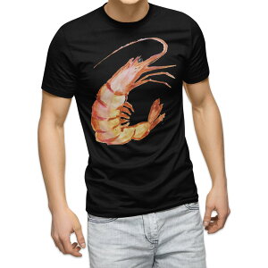 tVc Y  ubN fUC XS S M L XL 2XL TVc eB[Vc T shirt@ 026206 Gr@CV@