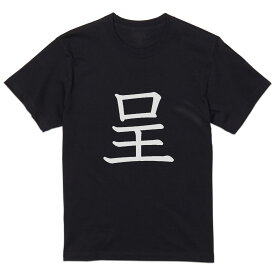 tシャツ メンズ 半袖 ブラック デザイン XS S M L XL 2XL Tシャツ ティーシャツ T shirt 黒 026564 呈