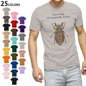 �I�ׂ�25�J���[ t�V���c �����Y ���� �z���C�g �O���[ �f�U�C�� S M L XL 2XL 3XL T�V���c �e�B�[�V���c T shirt 020014 �� polyphylla fullo �q�Q�R�K�l